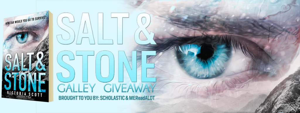 Victoria Scott - Salt & Stone Galley Giveaway Banner